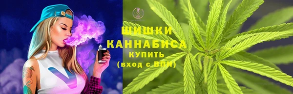 спайс Алзамай