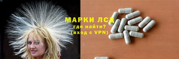 прущие грибы Абаза