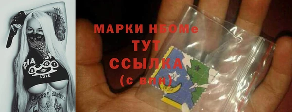 прущие грибы Абаза