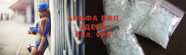 прущие грибы Абаза