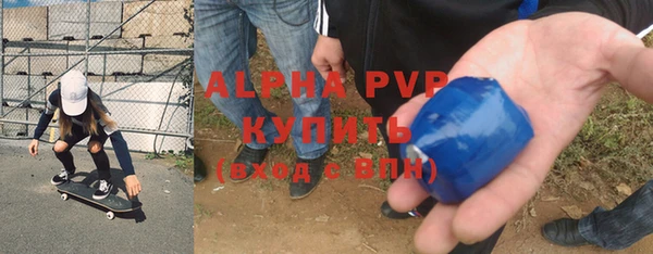 прущие грибы Абаза