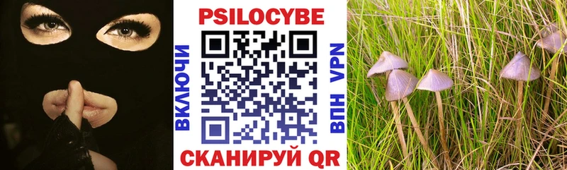 мега ТОР  Белая Калитва  Галлюциногенные грибы Cubensis 